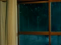 アダルト動画:荻野目慶子03